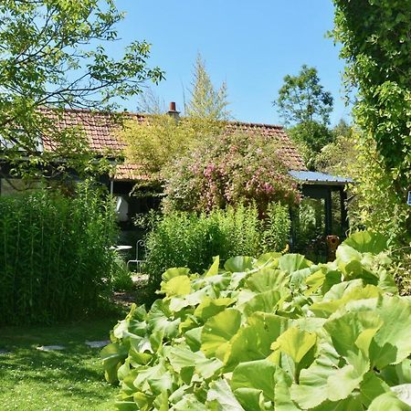 Chambres D'Hotes, Gites La Petite Madeleine La Madelaine-sous-Montreuil Luaran gambar